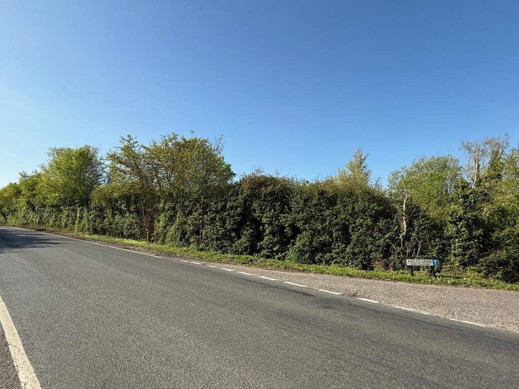 Lot: 89 - PARCEL OF LAND FRONTING WALTHAM ROAD - Parcel of Land on the corner of Waltham Road and Holts Lane